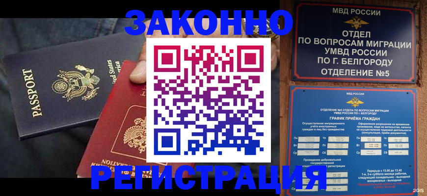 прописка законно в Шумихе